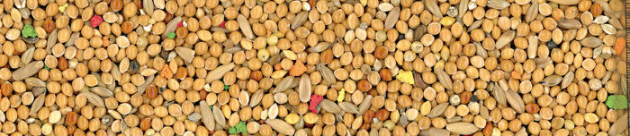 GRAN FESTA ESOTICI MIX