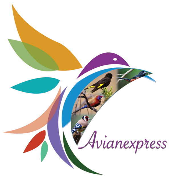 AvianExpress logo