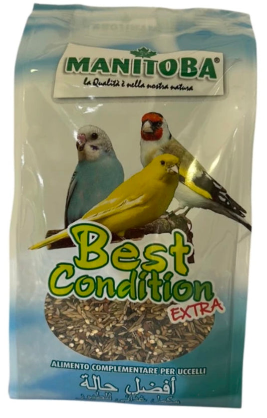 BEST CONDITION GRAN FESTA