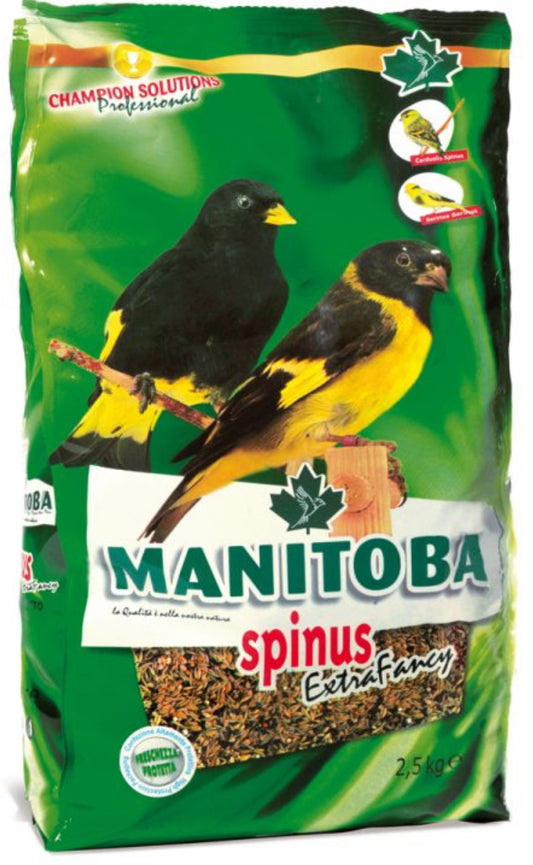 Spinus Extra Fancy