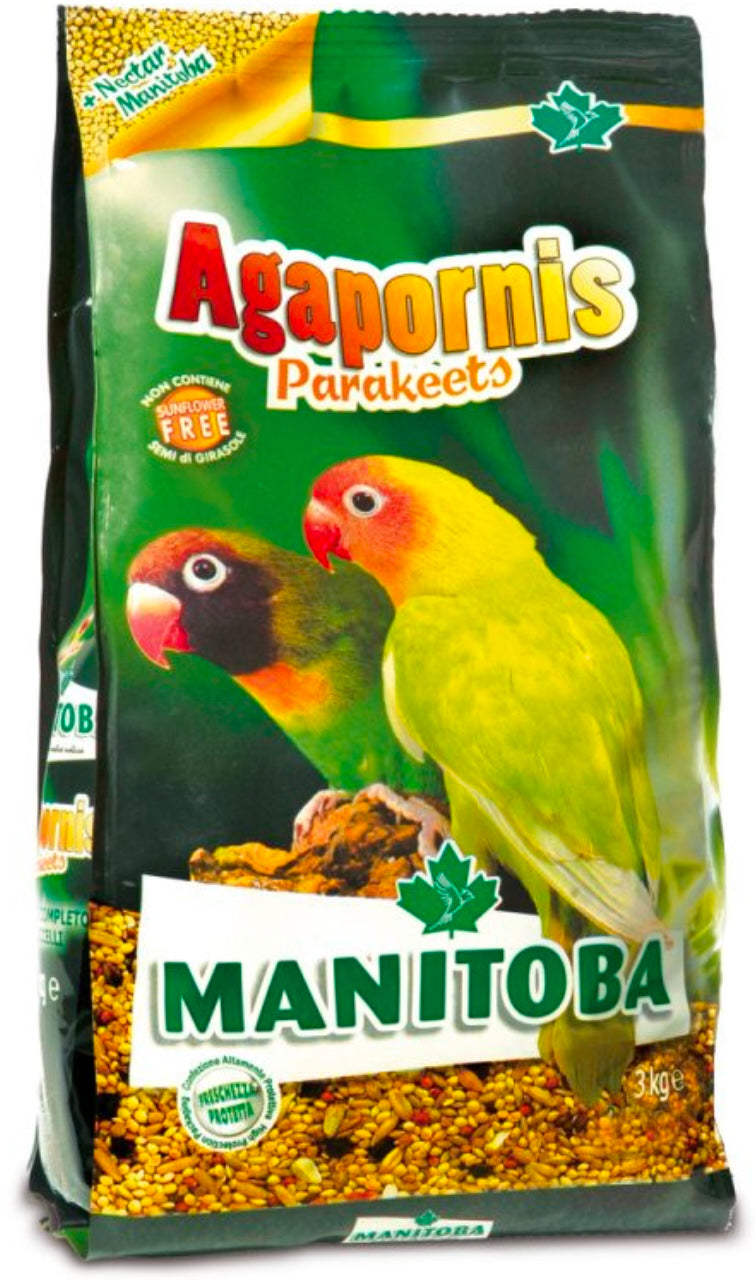 Agapornis Parakeets