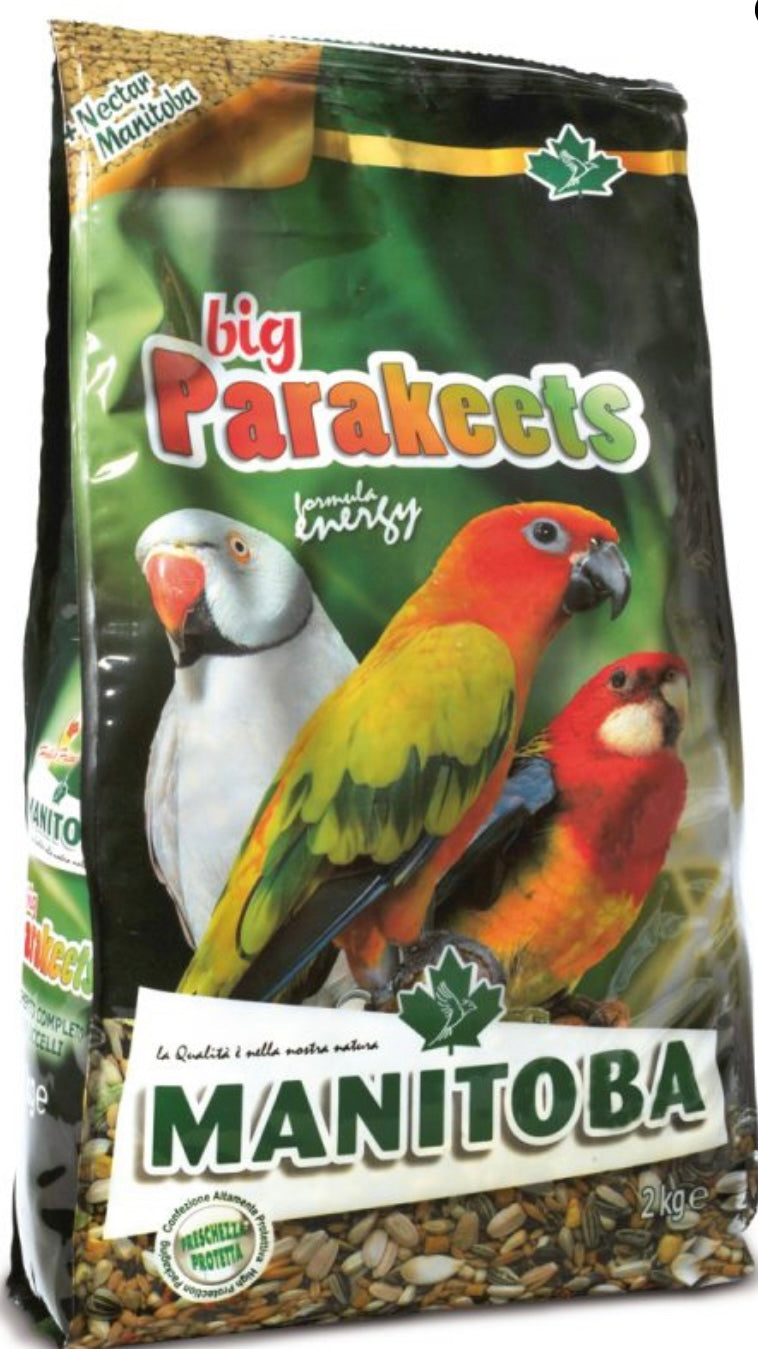 Big Parakeets Energy