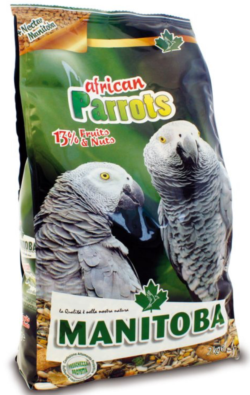 African Parrots