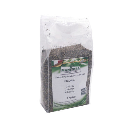 Chicory 1kg - Manitoba