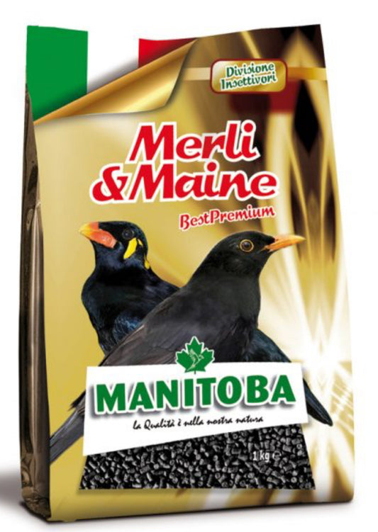 INSECTA MERLI & MAINE