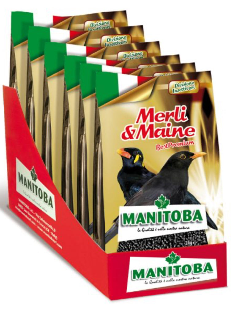 INSECTA MERLI & MAINE