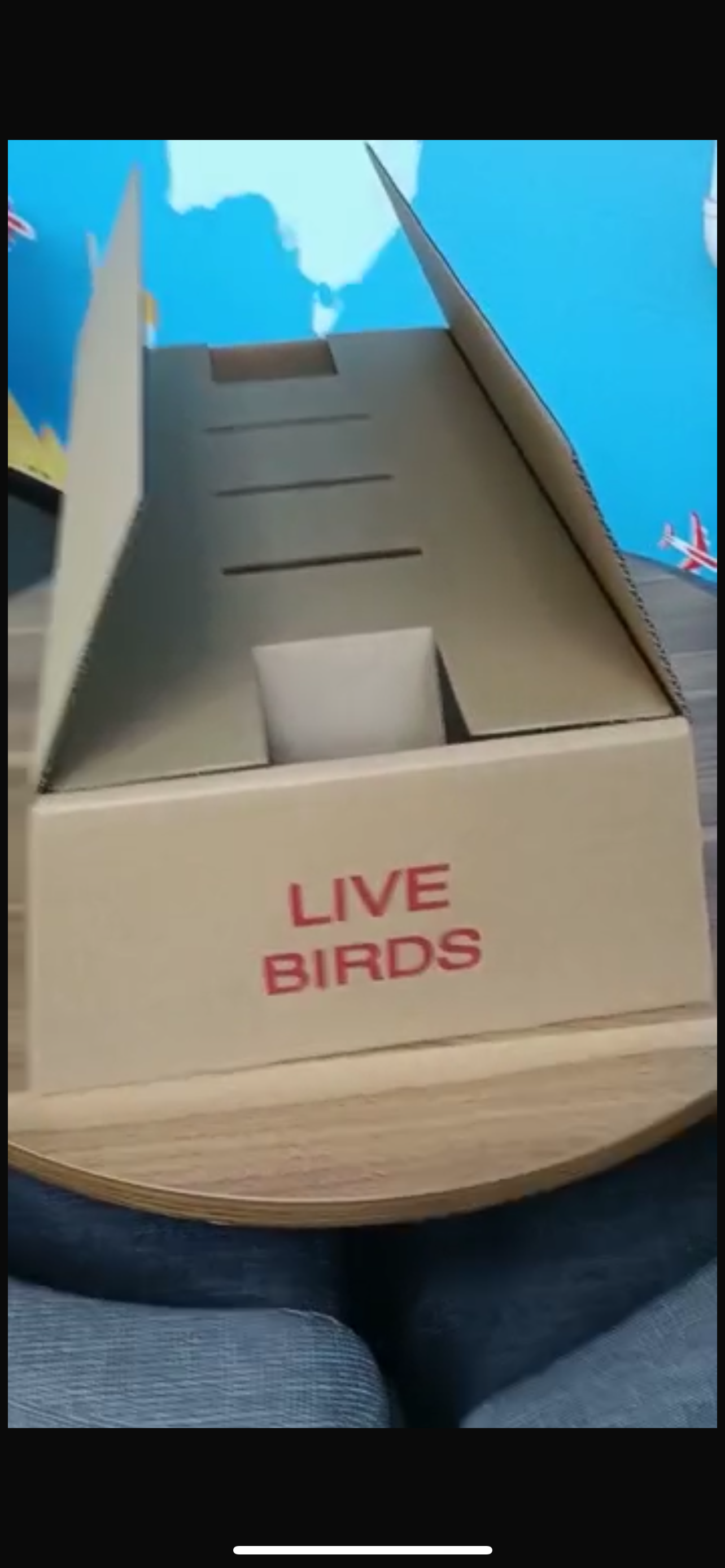 USPS Live Bird Shipping Box(boxes only)